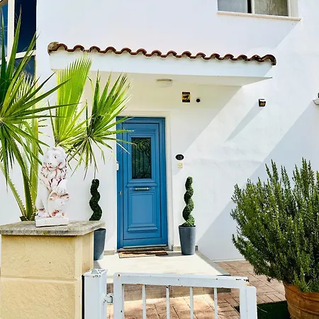 Luxury Lapis Lazuli *