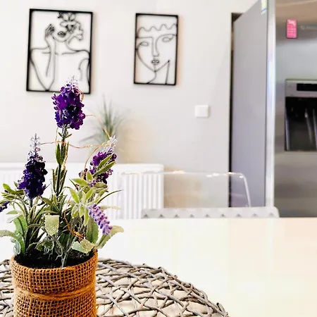 Luxury Lapis Lazuli *