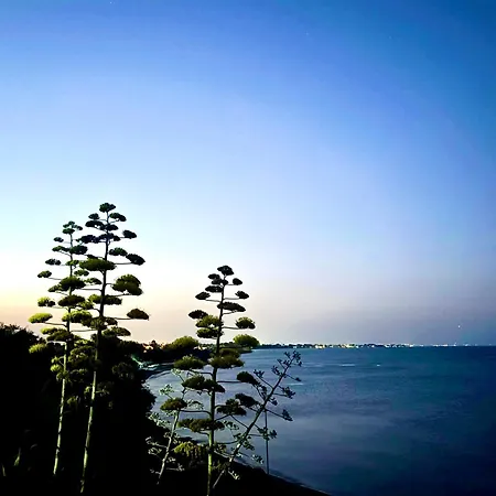 Luxury Lapis Lazuli Meneou